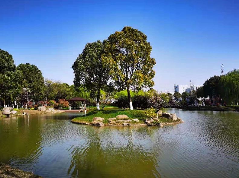 021662095466201064.jpeg 捕獲.JPG