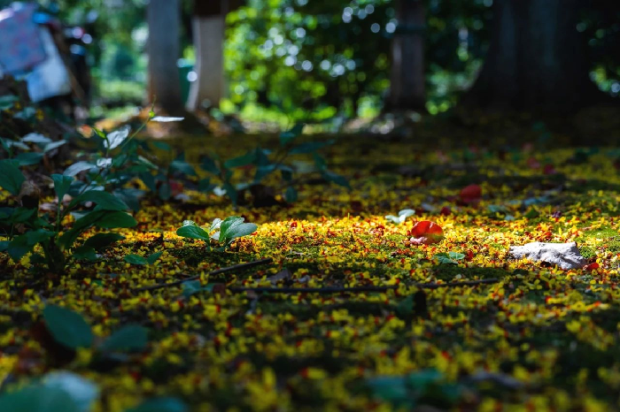 101665381434374110.png image.png